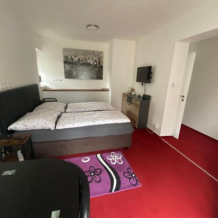 Homestay U Hanky Zdiby 外观 照片