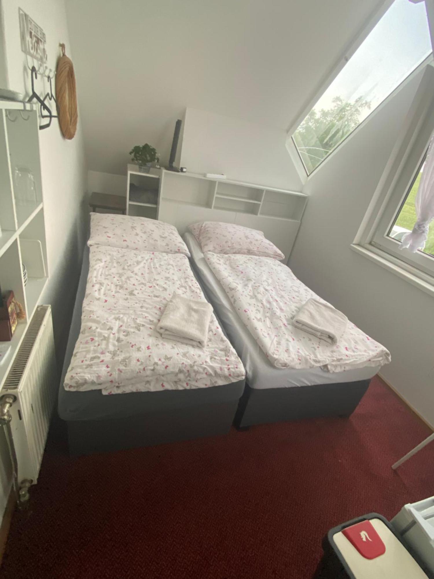 Homestay U Hanky Zdiby 外观 照片